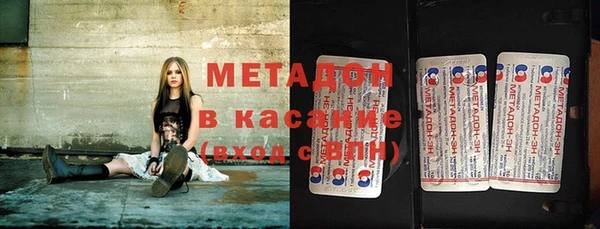 дмт Богданович