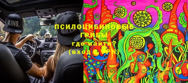 тгк Богородицк