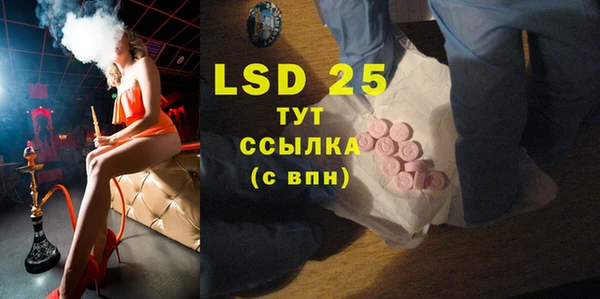 дмт Богданович