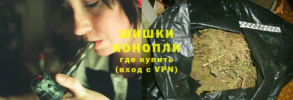 дмт Богданович
