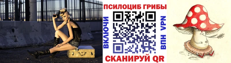 Псилоцибиновые грибы Psilocybe  KRAKEN tor  Велиж 