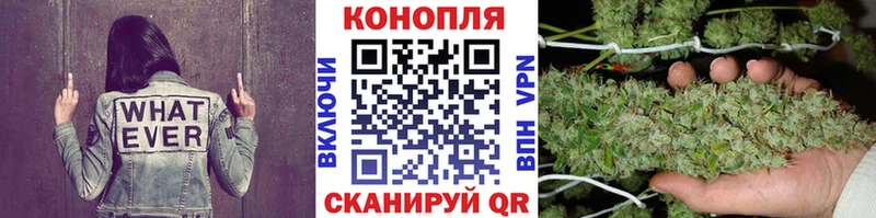 Конопля план shop телеграм Велиж